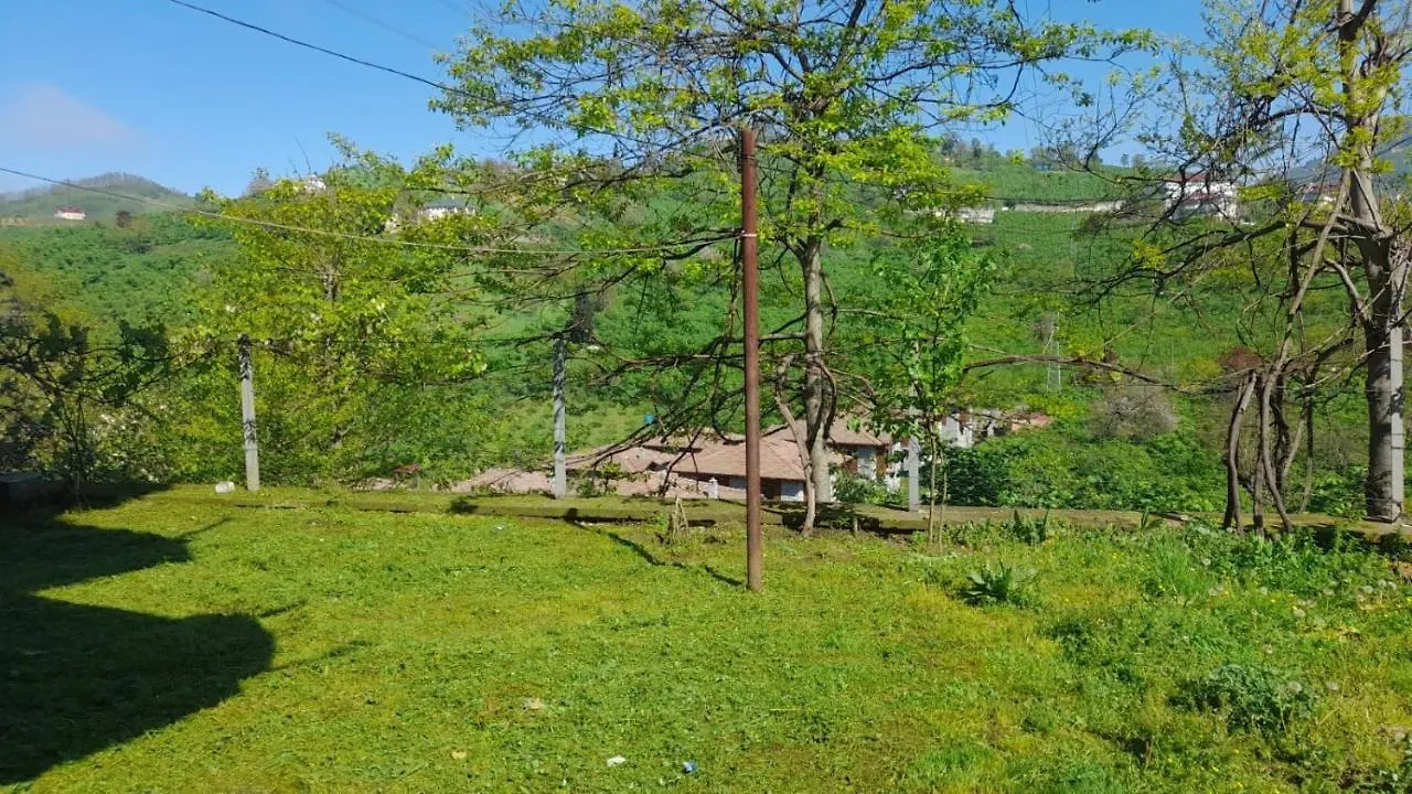 فيلا Grand1 Guests House ترابزون 0*,  تركيا